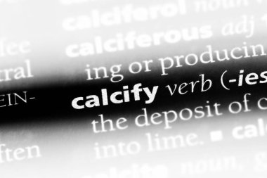 bir sözlüğü'ndeki sözcüğü calcify. kavram calcify.