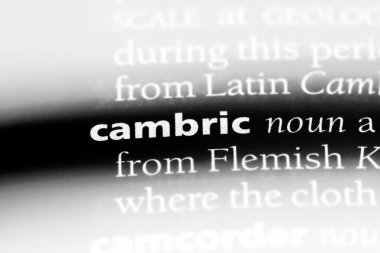 cambric sözcük sözlüğe. cambric kavramı.