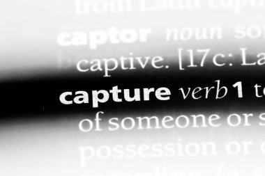 bir sözlüğü'ndeki sözcüğü yakalamak. yakalama kavramı.