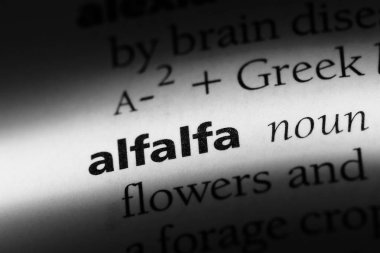 yonca Word'de bir sözlük. yonca kavramı.