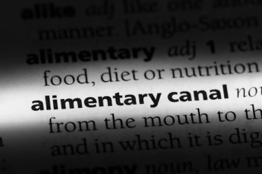 Kurbanın kanal Word'de bir sözlük. Kurbanın kanal kavramı.