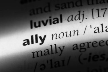 bir sözlüğü'ndeki sözcüğü ally. Ally kavramı.
