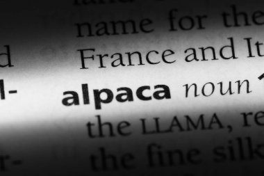 Alpaka Word'de bir sözlük. Alpaka kavramı.