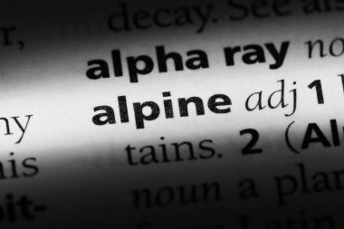 alp tek kelimeyle bir sözlük. alp kavramı.