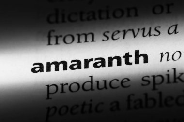 bir sözlüğü'ndeki solmayan çiçek sözcüğü. solmayan çiçek kavramı.