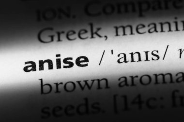 anason Word'de bir sözlük. anason kavramı.