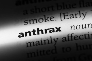 Şarbon Word'de bir sözlük. Şarbon kavramı.