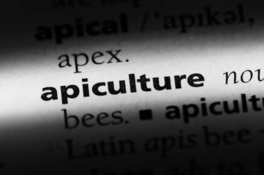 apiculture sözcük sözlüğe. apiculture kavramı.