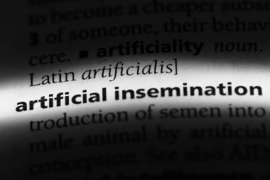 Suni tohumlama Word'de bir sözlük. Suni döllenme kavramı.