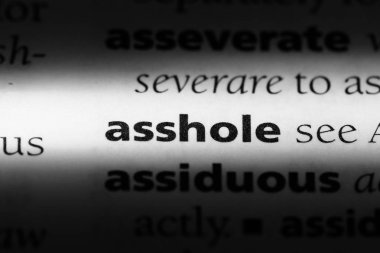 pislik Word'de bir sözlük. pislik kavramı.