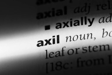 axil Word'de bir sözlük. axil kavramı.