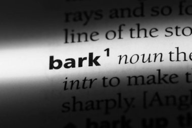 bir sözlüğü'ndeki sözcüğü kabuk. kabuk kavramı.