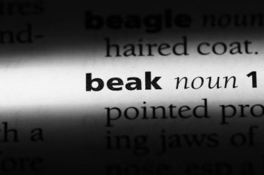 Gaga Word'de bir sözlük. Gaga kavramı.