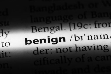 iyi huylu tek kelimeyle bir sözlük. iyi huylu kavramı.