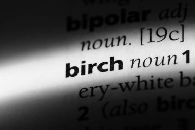 bir sözlüğü'ndeki sözcüğü huş ağacı. huş ağacı kavramı.