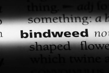 gündüzsefası Word'de bir sözlük. kahkaha kavramı.