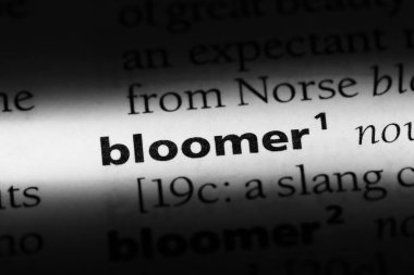 gaf Word'de bir sözlük. gaf kavramı.