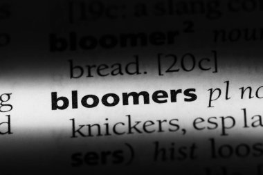 jimnastik pantolonu Word'de bir sözlük. jimnastik pantolonu kavramı.