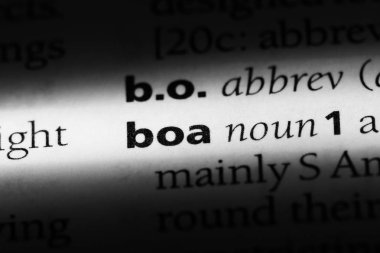 Boa Word'de bir sözlük. Boa kavramı.