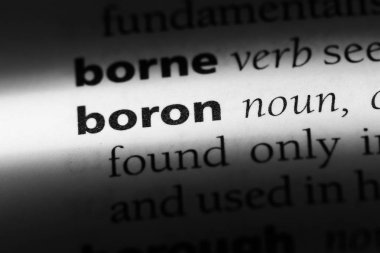 Bor Word'de bir sözlük. Bor kavramı.