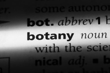 Botanik Word'de bir sözlük. Botanik kavramı.