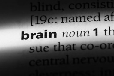 beyin Word'de bir sözlük. beyin kavramı.