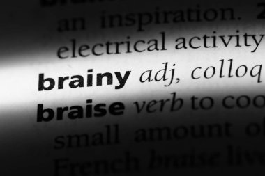 zeki kelime sözlüğe. zeki kavramı.