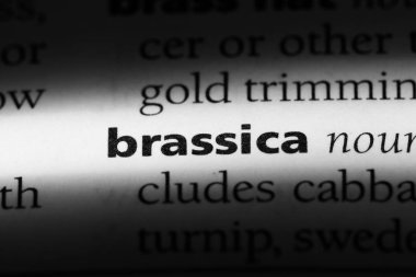 Brassica Word'de bir sözlük. Brassica kavramı.
