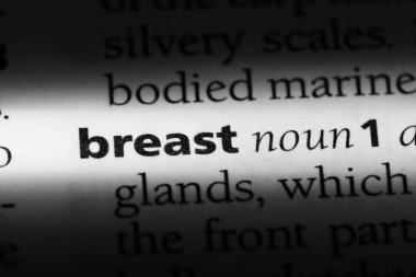 Meme Word'de bir sözlük. Meme kavramı.