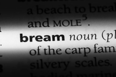 bir sözlüğü'ndeki sözcüğü çipura. Çipura kavramı.