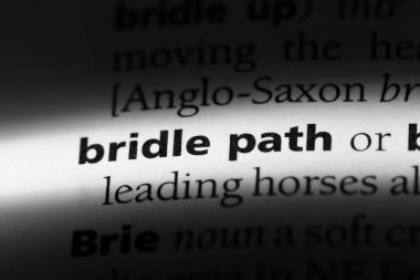 dizgin yol Word'de bir sözlük. dizgin yol kavramı.