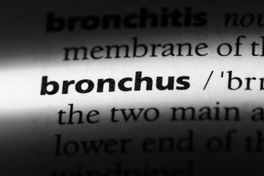 bronş Word'de bir sözlük. bronş kavramı.