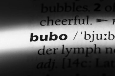 Bubo Word'de bir sözlük. Bubo kavramı.