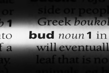 Bud Word'de bir sözlük. kavramı.