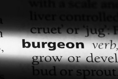 bir sözlüğü'ndeki sözcüğü burgeon. kavram burgeon.