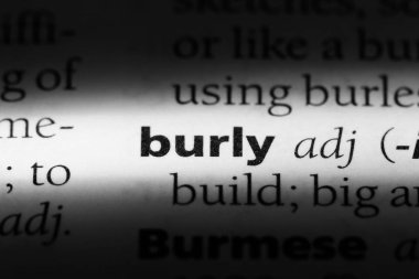 iriyarı tek kelimeyle bir sözlük. iriyarı kavramı.