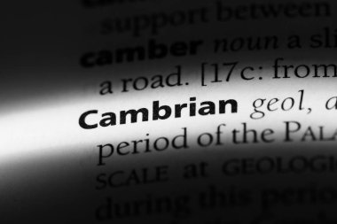 Kambriyen tek kelimeyle bir sözlük. Kambriyen kavramı.