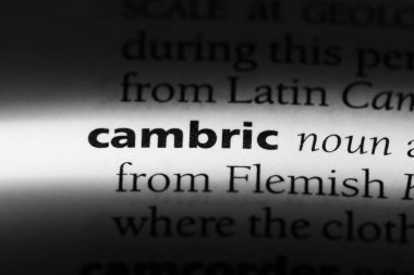 cambric sözcük sözlüğe. cambric kavramı.