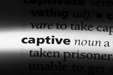 bir sözlüğü'ndeki esir sözcüğü. esir kavramı.