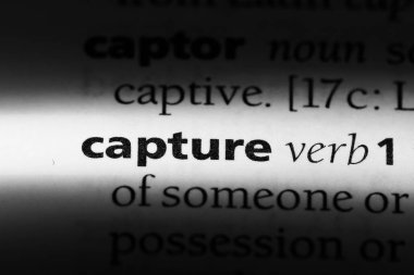 bir sözlüğü'ndeki sözcüğü yakalamak. yakalama kavramı.