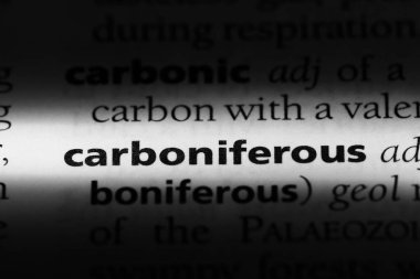 Carboniferous tek kelimeyle bir sözlük. Carboniferous kavramı.