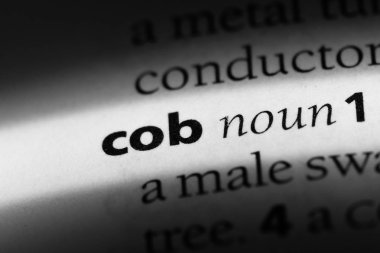 COB Word'de bir sözlük. COB kavramı.