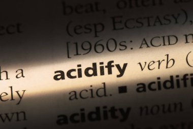 bir sözlüğü'ndeki sözcüğü acidify. kavram acidify.