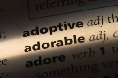 çok güzel tek kelimeyle bir sözlük. çok güzel kavramı.