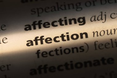 sevgi sözcüğü sözlüğe. sevgi kavramı.