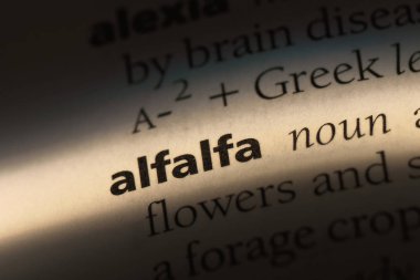 yonca Word'de bir sözlük. yonca kavramı.