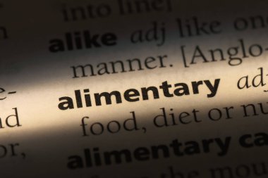 bir sözlüğü'ndeki Sindirimsel sözcüğü. beslenme kavramı.