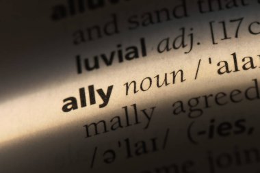 bir sözlüğü'ndeki sözcüğü ally. Ally kavramı.
