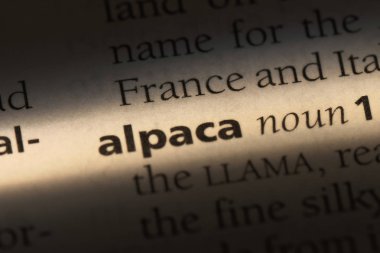 Alpaka Word'de bir sözlük. Alpaka kavramı.