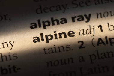 alp tek kelimeyle bir sözlük. alp kavramı.